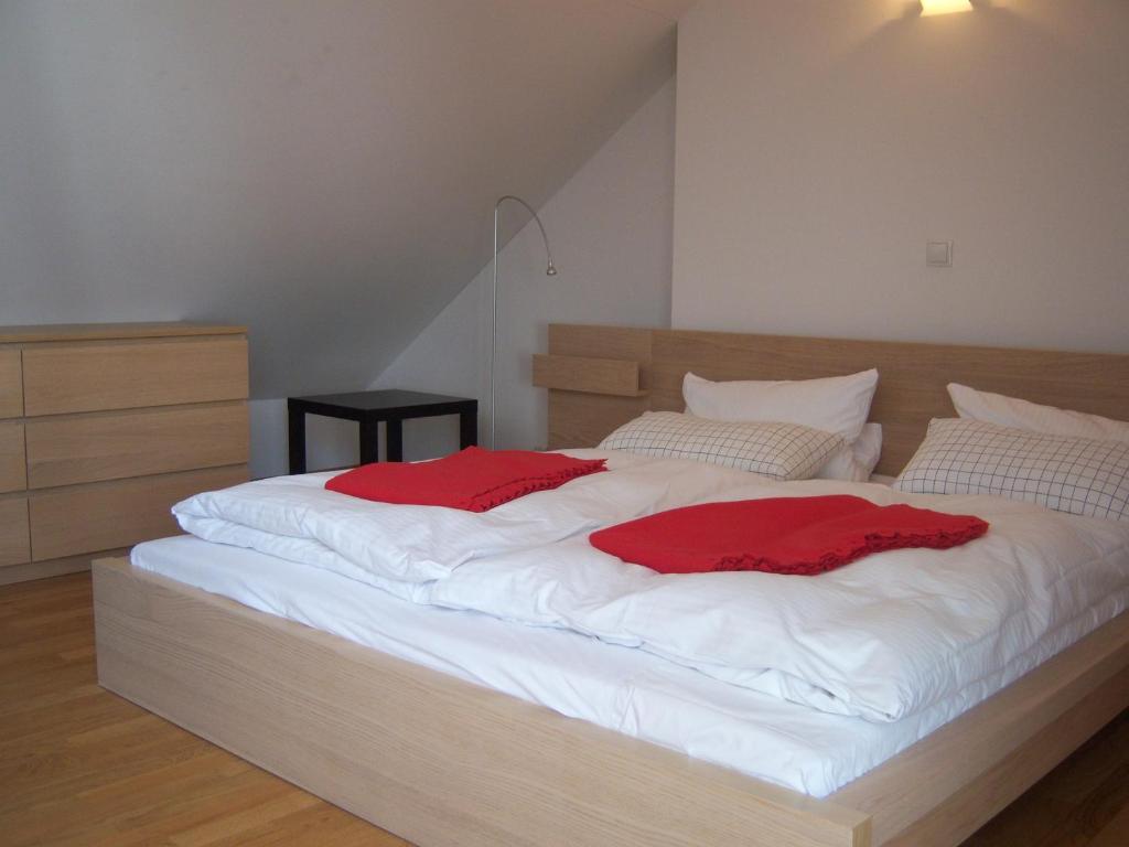 Historisches Buergerhaus Dresden -Kulturstiftung- Apartment Room photo